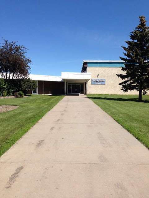 Chester Ronning School